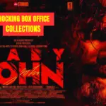 Baby John Movie Box Office Collection